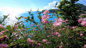 Лучшие виды на посёлок Ольгинка. Место для фотосессий.