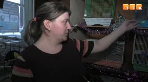 Что сулит горожанам високосный 2020-ый год?