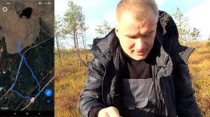 Сбор клюквы ковшом на болоте Чудской Бор