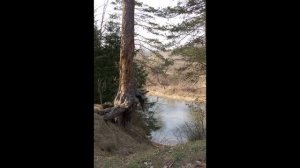 Истринский район. Павловская Слобода, Новоиерусалимский монастырь