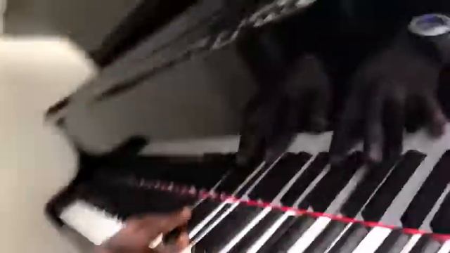 Yp music Academy смотреть онлайн