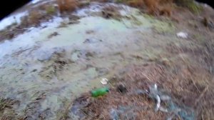 Браконьеры оставили сеть с Рыбой Аборинское Озеро