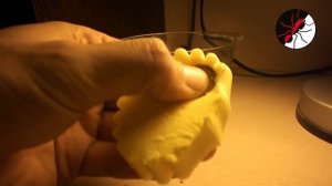 муравьиная ферма. Наногубка для инкубаторов. Точный расчет!