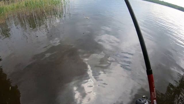Рыбалка и отдых на озере Гусиное. Щука 2кг с плотика FLTB-5 CAPERLAN. Приозерский район