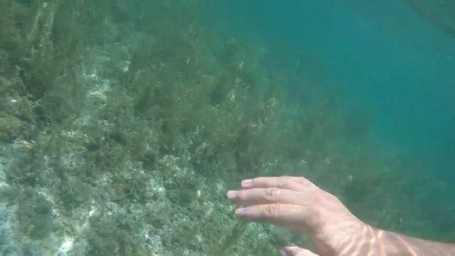 Best of the best from the last 14 months non-stop traveling смотреть онлайн