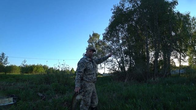 Сом обыкновенный смотреть онлайн