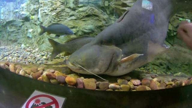 Реки и озера дальнего востока смотреть онлайн