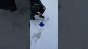 Рыбалка Голышманово р. Емец.