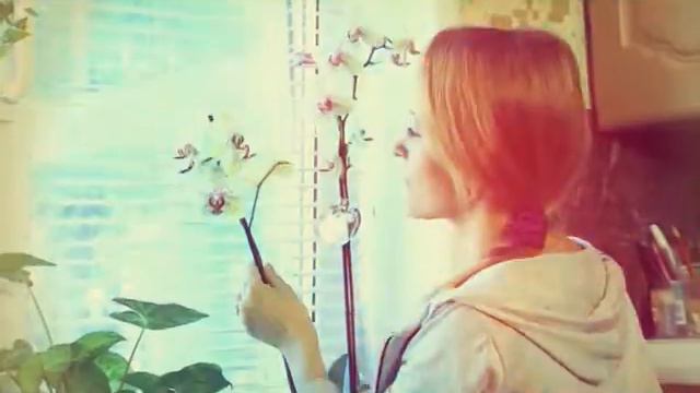 Самоанализ 29.08.2014 смотреть онлайн