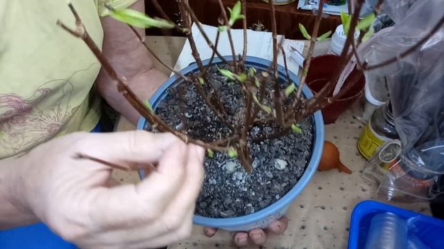 КАК ПРАВИЛЬНО 