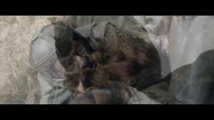 Король и Шут - Прыгну со скалы 2022 HD (КЛИП | Властелин колец)