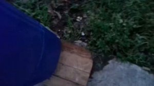 Вермикомпостер своими руками.