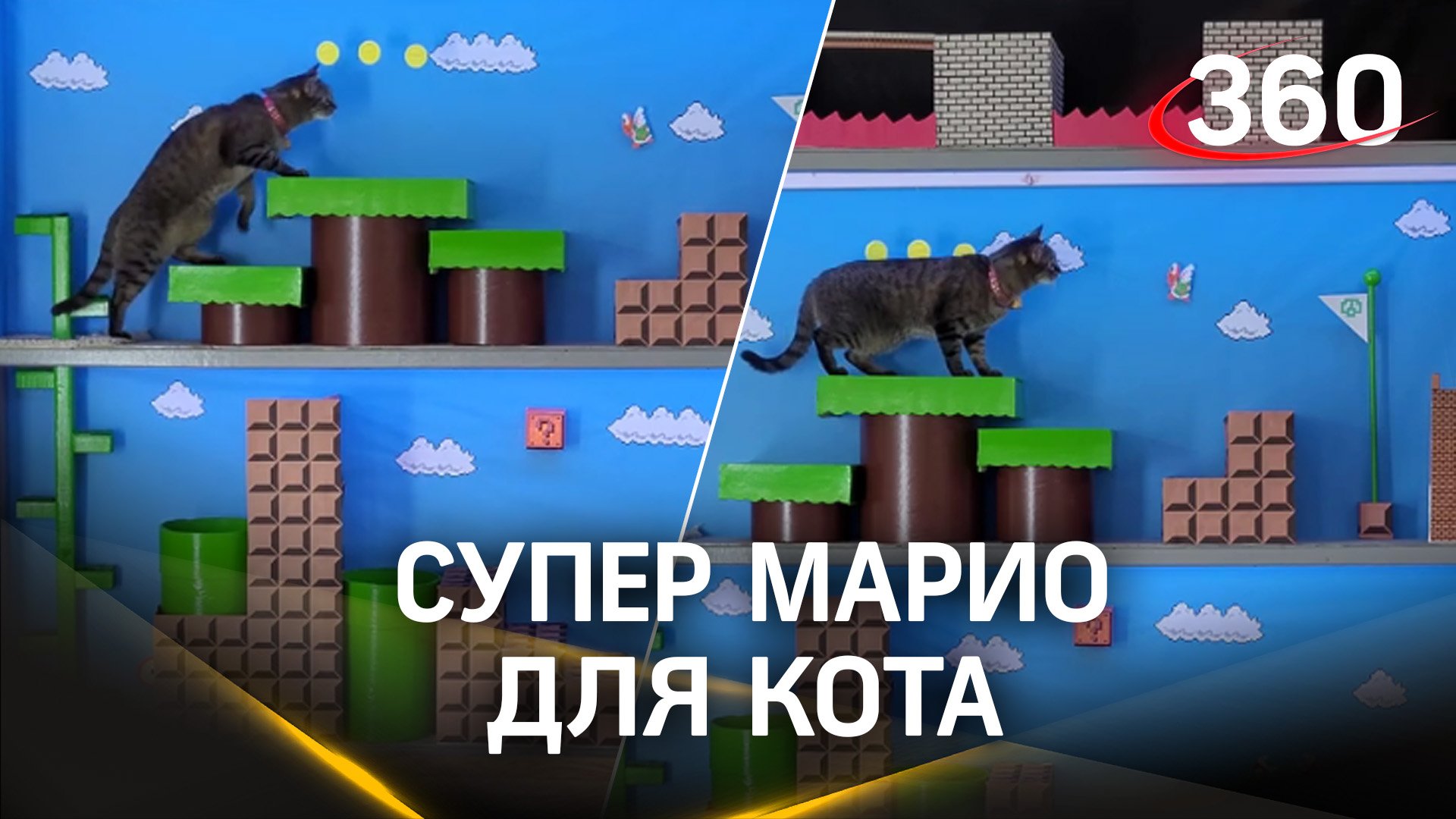 Хозяин заставил кота спасать принцессу! Полоса препятствий в стиле Super Mario