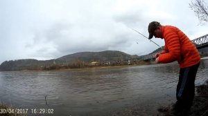 рыбалка, ловля ельца р. Мана Красноярск 30.04.2017