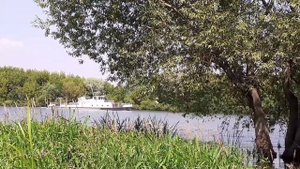 Рыбалка в городе Коломна на Москва-реке