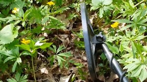 №9: Сигнум МФТ 7272М и удельная чешуя. Настройки под чешую.