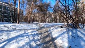 Улицы Академ городка Новосибирск