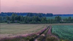 "ДЕРЕВНЯ МОЯ ЗАТЕРЯЛАСЯ"... (Фото Анатолия Шулепова (Челябинск) - Ансамбль Уральская гармонь)