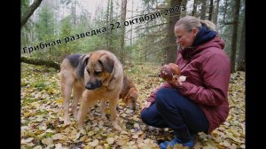Грибная разведка 22 октября 2023. Всеволожский район.