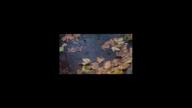 Мама нарцисс..... смотреть онлайн