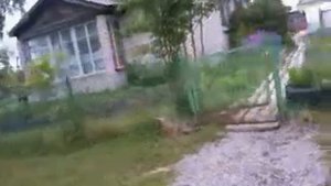 Видео0054 Так простые русские семьи живут в посёлке Золотуха Архангельской области