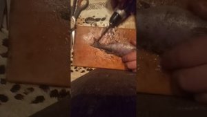 Попробовал чистить окуня шуруповертом.