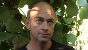 Саженцы морозостойкого плодоносящего киви