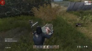 DayZ Expansion  Langust server