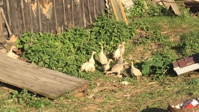 14-05-2023 смотреть онлайн