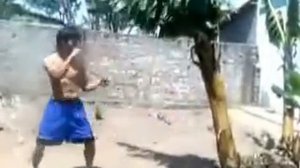 Боец Муай Тай ломает дерево