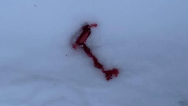 ДЕКСТЕР ПРОДОЛЖЕНИЕ ВИТАЛИК ОТКУСИЛ ПАЛЕЦ, СЛАБОНЕРВНЫМ НЕ СМОТРЕТЬ!