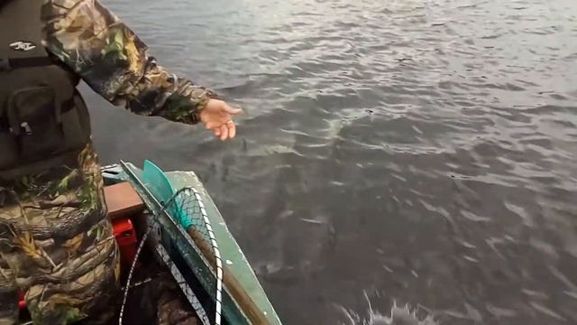 Сокол так делает всегда, когда отпускает... смотреть онлайн