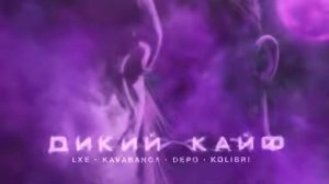 КЛИП ДИКИЙ КАЙФ