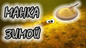 Манка на плотву зимой в качестве прикормки? ПОДВОДНАЯ КАМЕРА