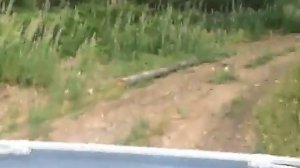 Тоета спринтер кариб. AL25. 86г.в...Южный Урал. Июль. 2020.г.Завьялиха.800м.над уровнем моря