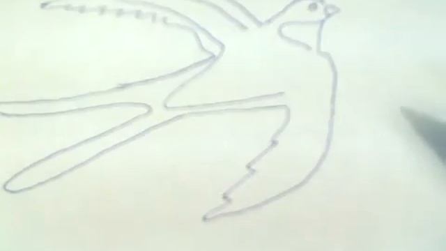Swallow. How to draw easy? (Ласточка. Как нарисовать легко?) смотреть онлайн