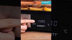 Сушилка для овощей и фруктов SCARLETT SC-FD421T19