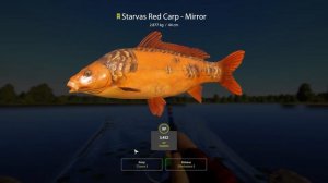 🎣 Russian Fishing 4 - Amber Lake Rare Carp Spot