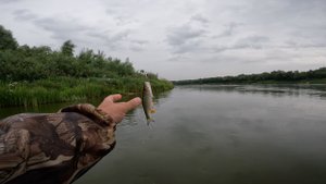 Ловля на Резину и Колебалки. Река ОКА! Рыбалка 2023. Ультралайт.