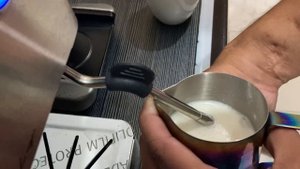 Steaming Milk Using Gemilai CRM3005e