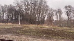 С собакой в поезде // Начало большого путешествия // Влог