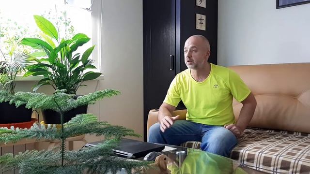 Выращиваю садовую землянику в квартире. Подвожу итог за год. смотреть онлайн