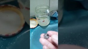 Чистка монет СССР "ранних советов" Экспериментирую