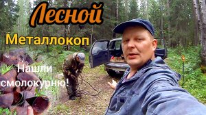 Поиск металлолома в лесу, где искать металлолом?