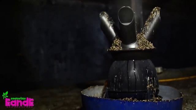 Видео ролик про ласточкино гнездо смотреть онлайн