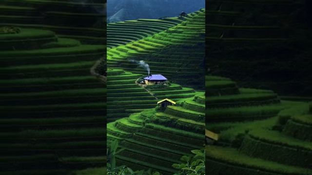 THAI NGUYEN village | Relaxation background music #Shorts