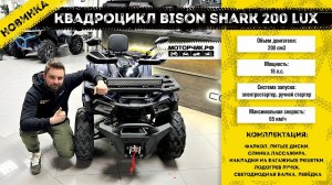 Квадроцикл Bison Shark 200 Lux