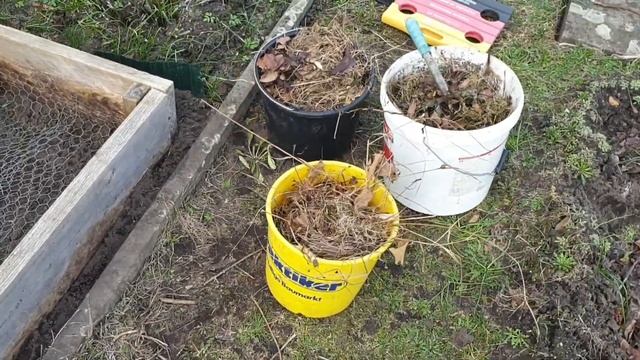 Переносим грядку. Пересаживаем щавель. смотреть онлайн