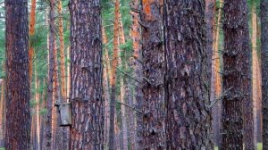 НА ИСХОДЕ ЛЕТА