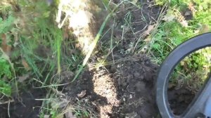 Minelab X-TERRA 705: Обзор и коп в лесу от Олега / Проф-Искатель